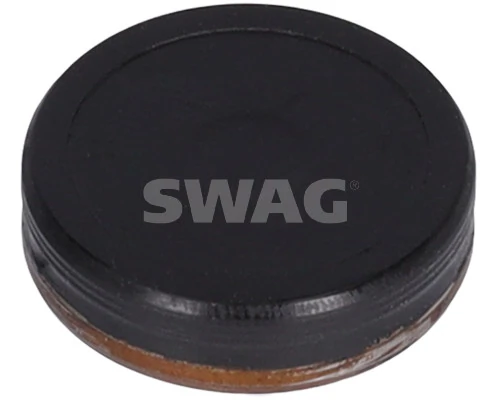 10938327 Swag