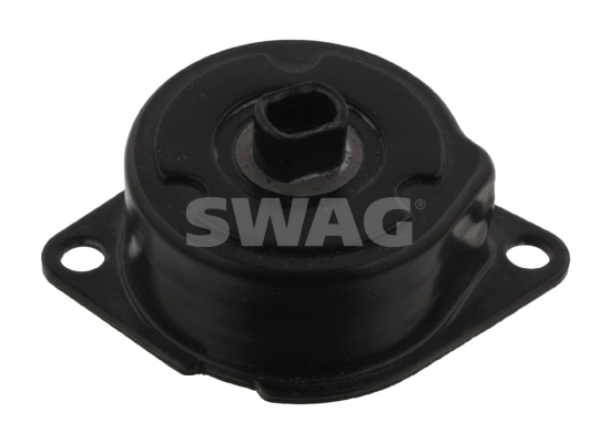 30934504 Swag