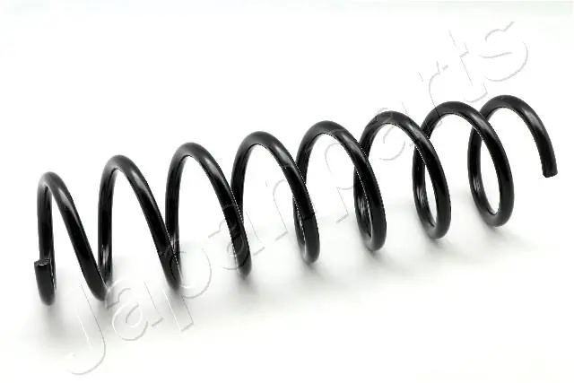 Muelle de amortiguador BMW 7 (E65, E66, E67)