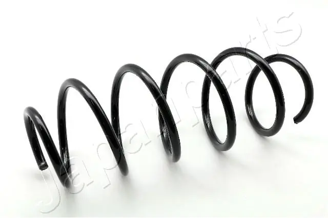 Muelle trasero Ford Fiesta V (2001-2008)