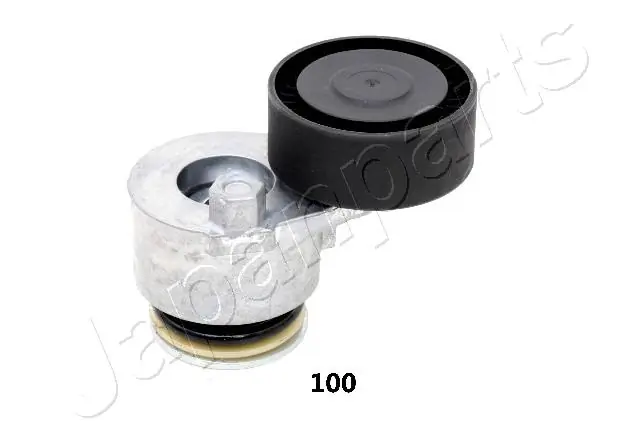 TS100 Japan Parts