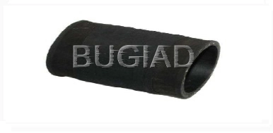 85603 Bugiad