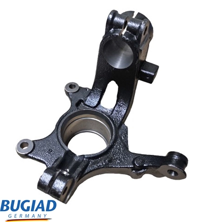 BSP25530 Bugiad