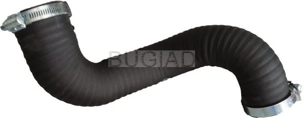 88604 Bugiad