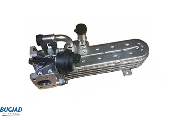 BGR13103 Bugiad