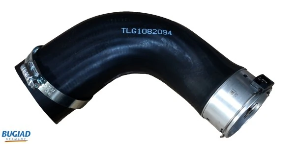 82094 Bugiad