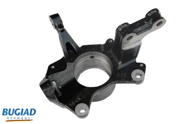 BSP25300 Bugiad