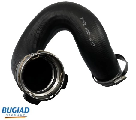82047 Bugiad