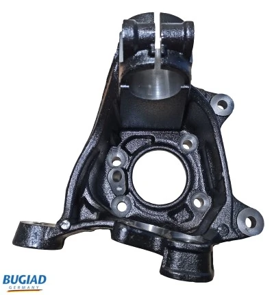 BSP25453 Bugiad