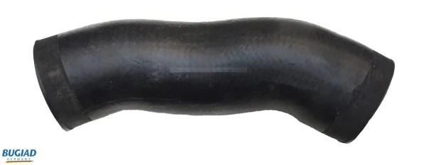 84607 Bugiad