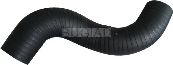 88606 Bugiad