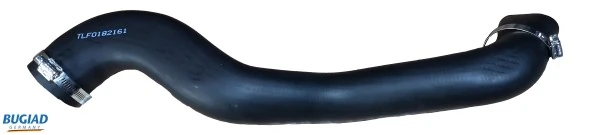 82161 Bugiad