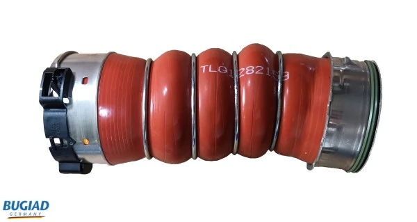 82159 Bugiad