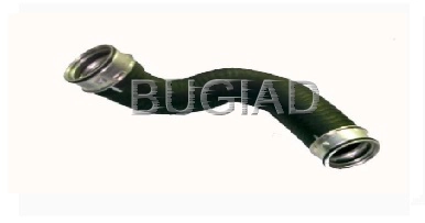 81618 Bugiad