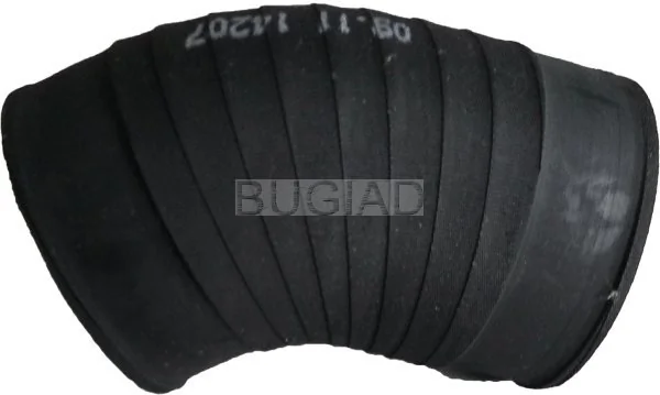 88601 Bugiad