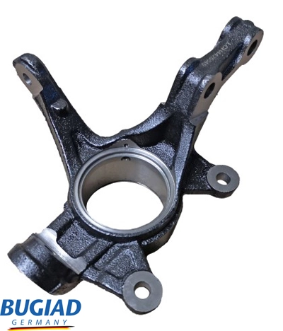 BSP25545 Bugiad