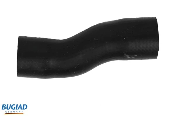 86636 Bugiad