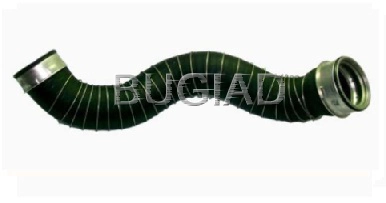 81613 Bugiad