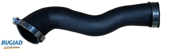 82174 Bugiad