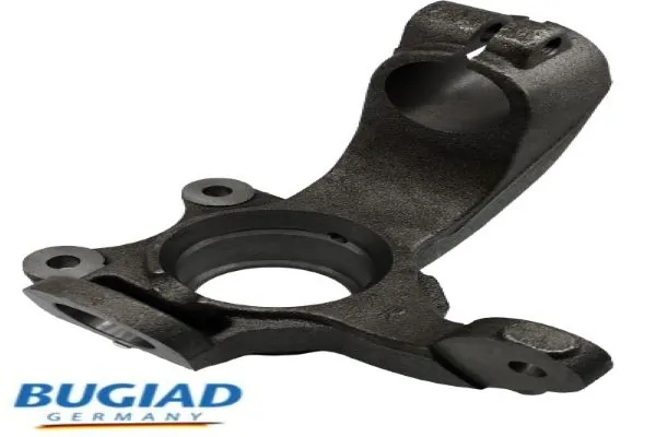 BSP25322 Bugiad