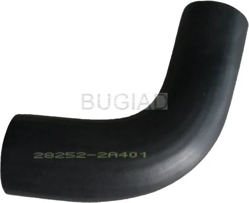 88637 Bugiad