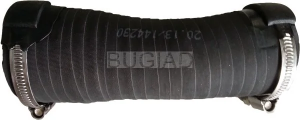 86642 Bugiad