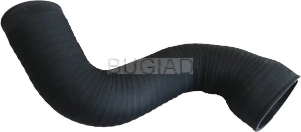 86625 Bugiad