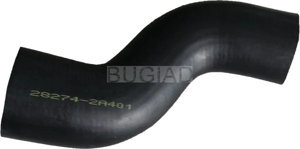 88638 Bugiad