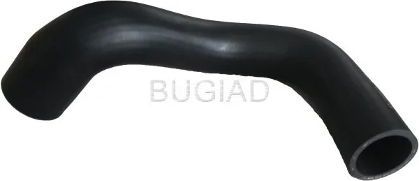 88631 Bugiad