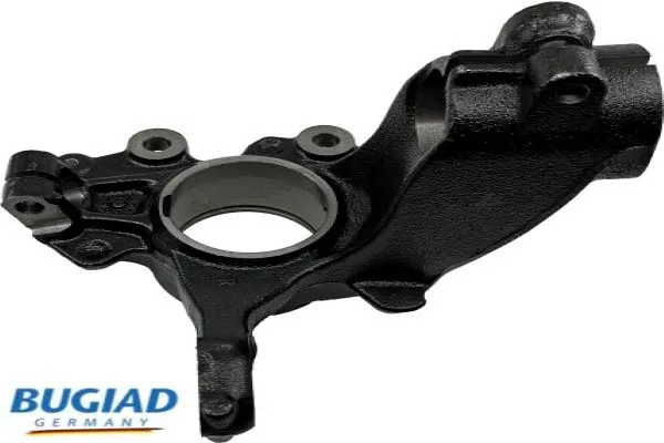 BSP25318 Bugiad