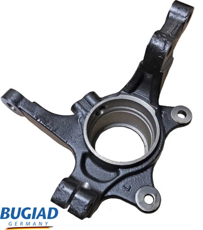 BSP25582 Bugiad
