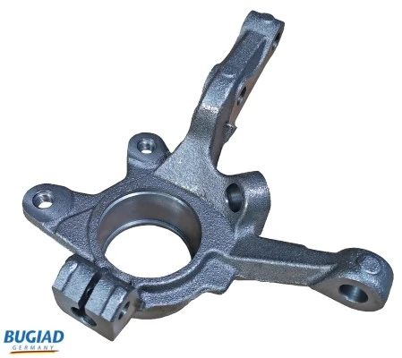 BSP25463 Bugiad