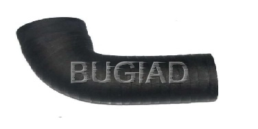 84612 Bugiad