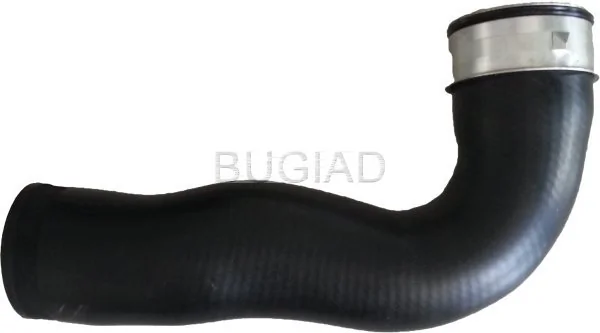 86615 Bugiad