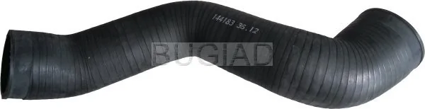 86651 Bugiad