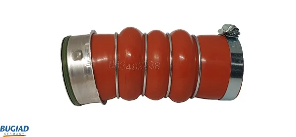 82238 Bugiad