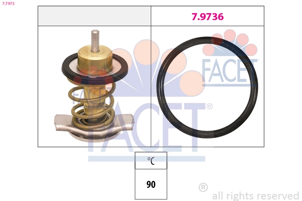 77973 Facet