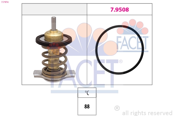 77974 Facet