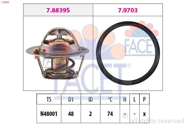 78840 Facet