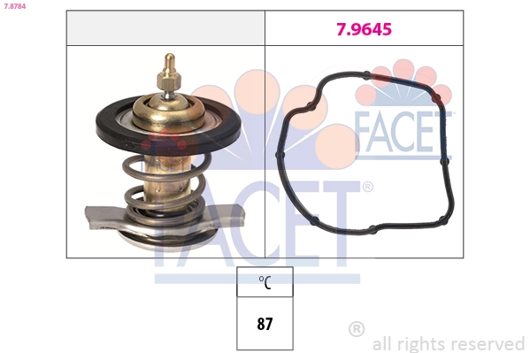 78784 Facet