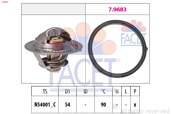 78802 Facet