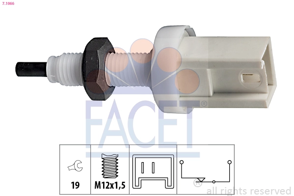 71066 Facet