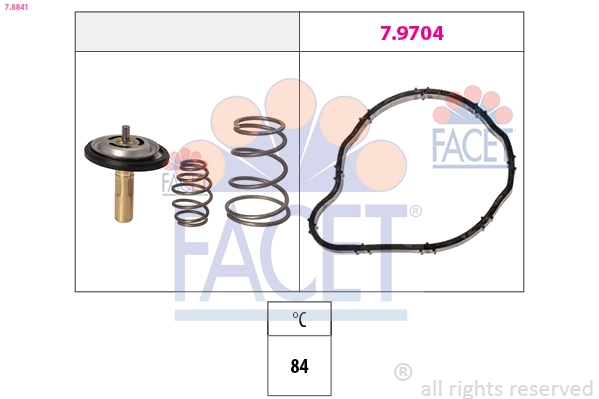 78841 Facet