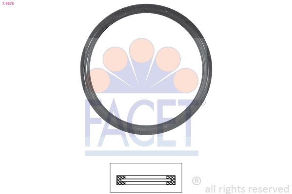 79675 Facet