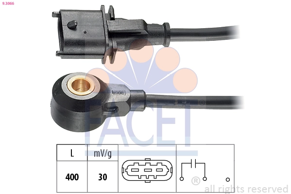 93066 Facet