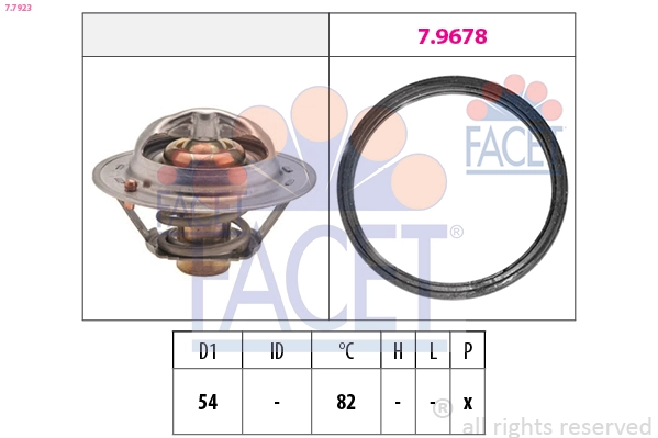 77923 Facet