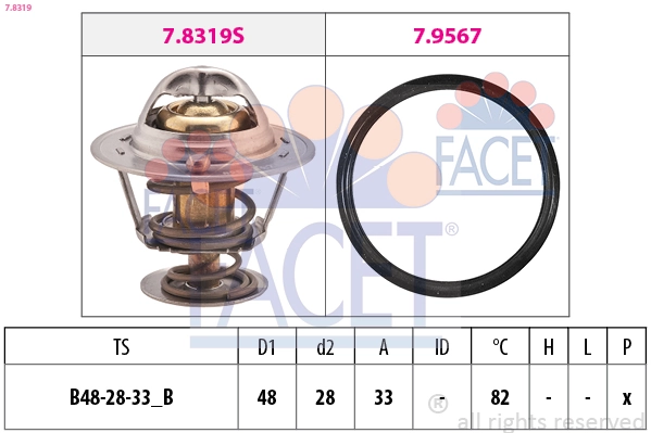 78319 Facet