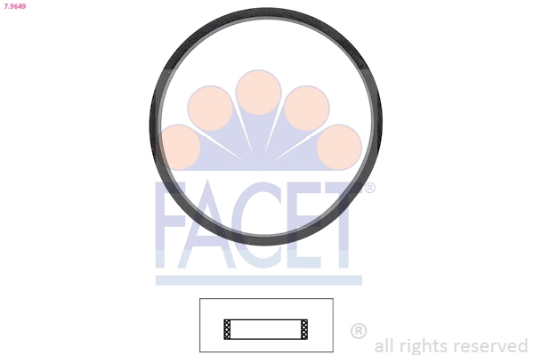 79649 Facet