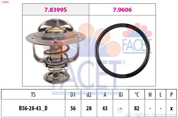 78848 Facet