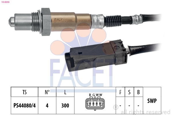 108205 Facet